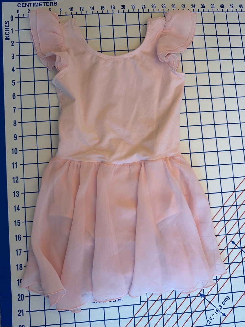 Elle Pink Chiffon Skirt Ballet Dress with Flutter Sleeves